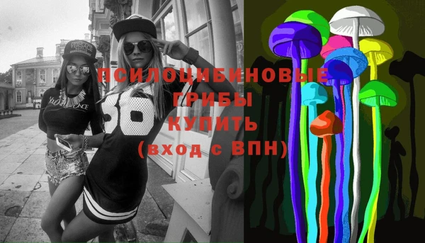 spice Арсеньев