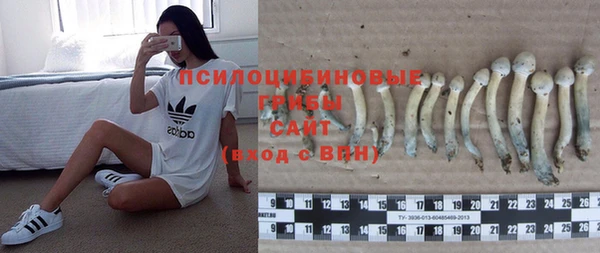 круглые Армянск